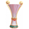 Schweizer Pokal Frauen runner-up
