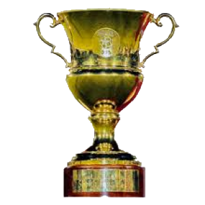 Qatari Super Cup Winner (Sheikh Jassim Cup)