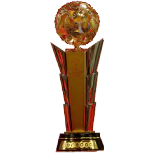 Qatari Stars Cup Winner (Ooredoo Cup)