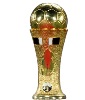 Qatari Cup Winner (Emir of Qatar Cup)