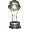 Copa Sudamericana winner