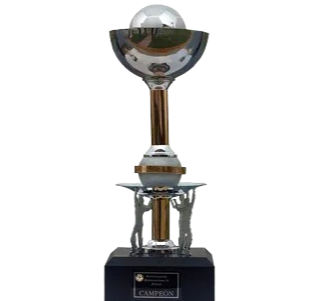 Güney Amerika U17 Şampiyonu