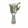Georgian cup winner