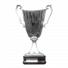 Cup Winners Cup Winner