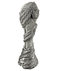 Körfez Kupası Şampiyonu