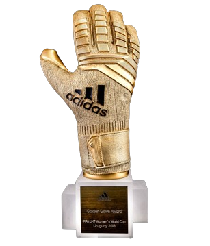 Golden Gloves winner