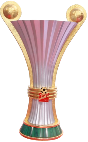 Lower Austrian cup winner