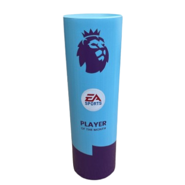 Premier League Player of the Month