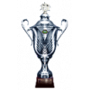 Belarusian Super Cup winner