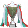 Bulgarian cup winner