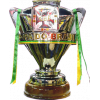 Brazilian cup winner