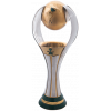 Saudi Arabian champion