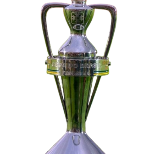 Copa do Brasil Feminino Şampiyonu