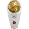 Intertoto Cup Champion