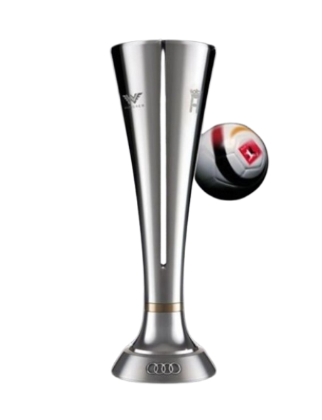 Audi Kupası Şampiyonu