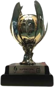 Arjantin Süper Kupa Şampiyonu