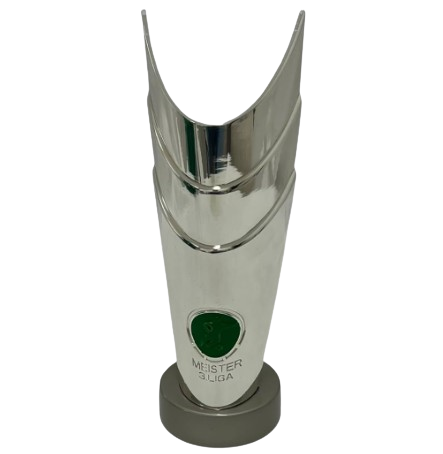 Almanya 3. Lig Şampiyonu