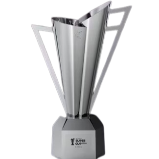 Güney Kore Süper Kupa Şampiyonu