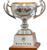 Brunei Kupası Şampiyonu