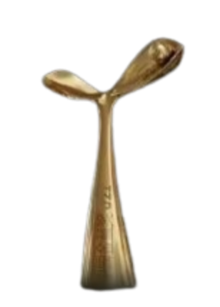 Çin Altın Çocuk Ödülü