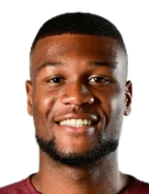 Henri Stanic profil resmi