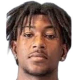 Helmer Heleno Tavares Borges