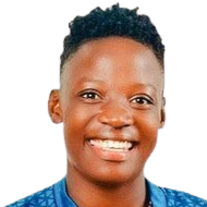 雷斯蒂·南齊裏