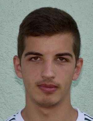 Srdjan Mrzic profil resmi