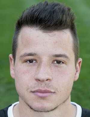 Mirza Berkovic