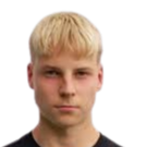 otto minkkinen