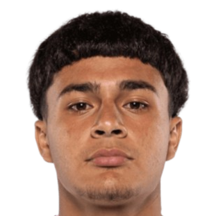 Ricardo Montenegro photo