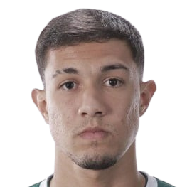 Vitor Hugo Da Silva Goncalves