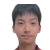 Wei Haichen