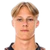 Niklas Kjaer·Andersson