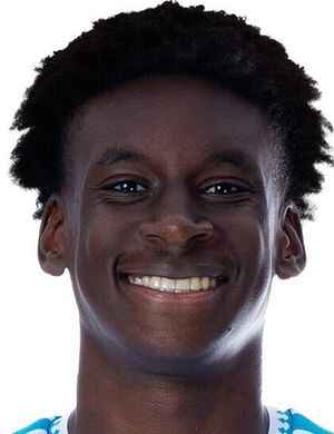 A. Johnson profil resmi