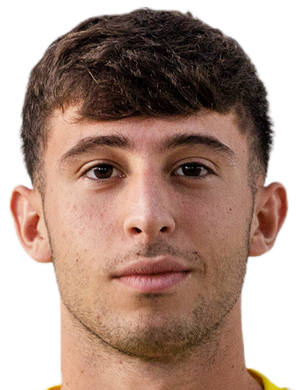 Alessandro Inguscio profil resmi