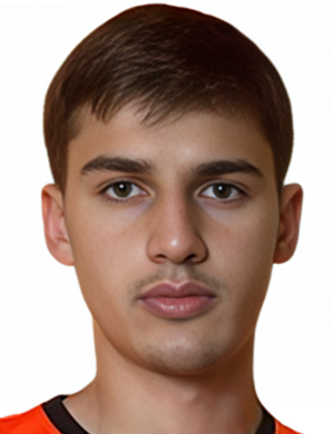 I. Salihovic profil resmi