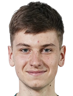 stepan gomonov