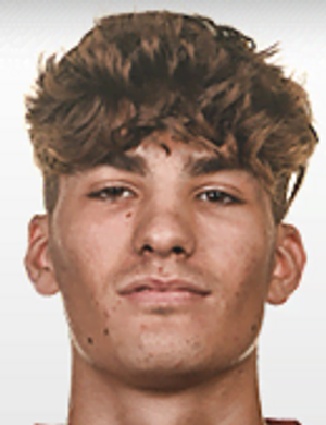 Lorenzo Menegazzo profil resmi