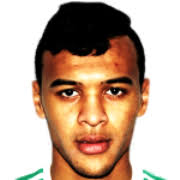 Anis Saltou