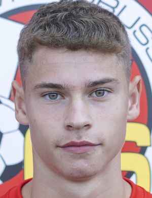 Alexander Dikarev profil resmi