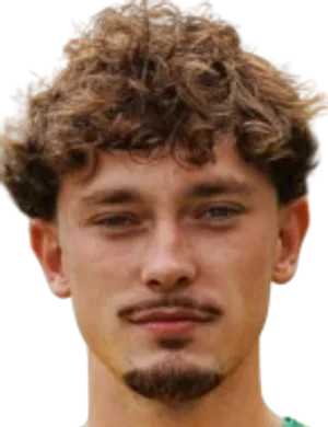 vlad raileanu