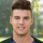 Alessandro minelli