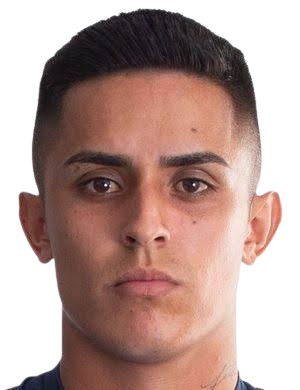 anderson fernandez