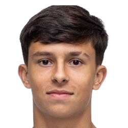 Lucas Esteban Molina Canto