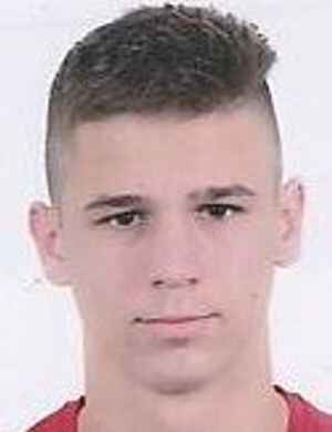 Vuk Tesic profil resmi