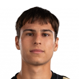 Dominik Loužecký
