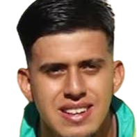 David Villa Mazo