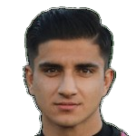 Mohammadreza Dinarvand
