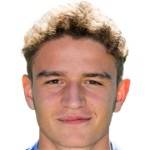 가바니, 알레산드로